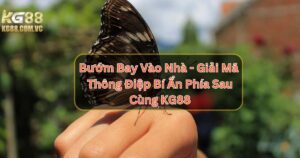 Bướm Bay Vào Nhà - Giải Mã Thông Điệp Phía Sau Cùng KG88