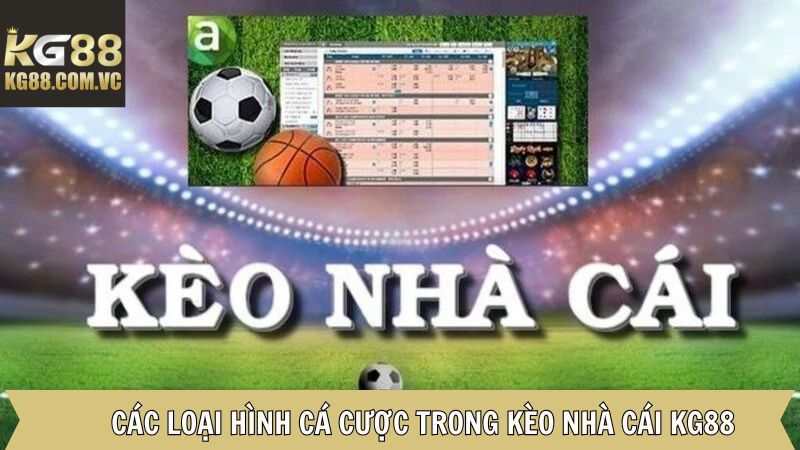 Những loại cược được hội viên quan tâm hiện nay