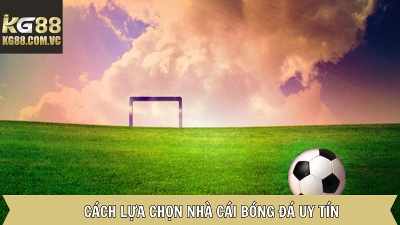 Cách chọn sân chơi cá độ uy tín cho người chơi