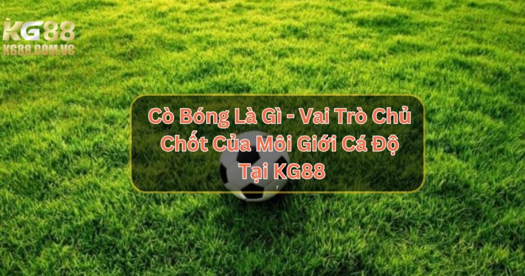 Cò Bóng Là Gì - Vai Trò Chủ Chốt Của Môi Giới Cá Độ Tại KG88