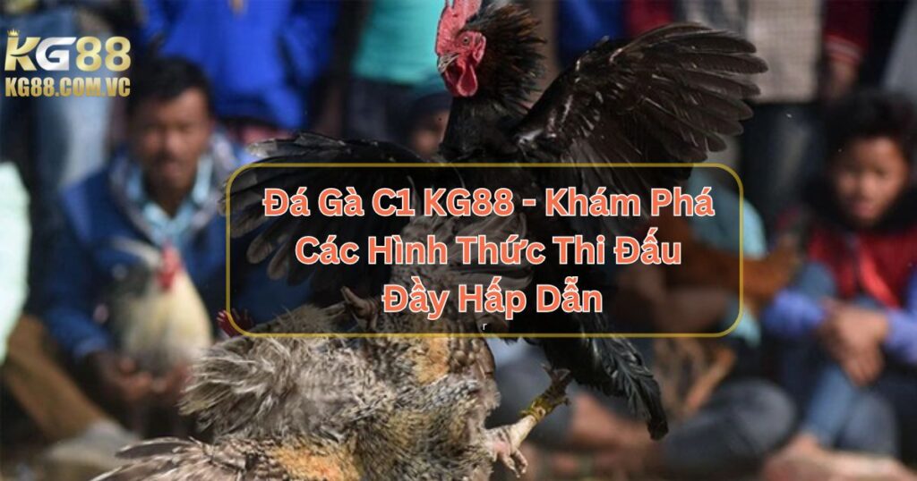 Đá Gà C1 KG88 - Khám Phá Các Hình Thức Thi Đấu Đầy Hấp Dẫn 1 Đá Gà C1 KG88 - Khám Phá Các Hình Thức Thi Đấu Đầy Hấp Dẫn
