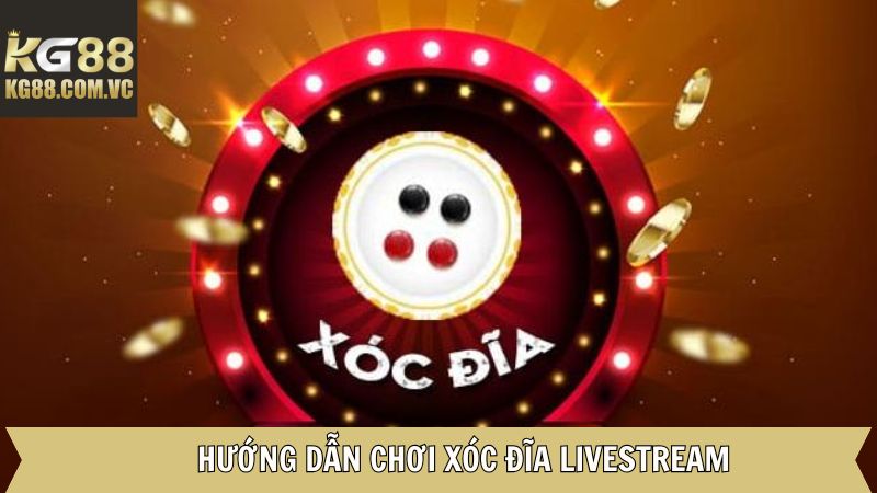 Xóc Đĩa Livestream - Hình Thức Giải Trí Thú Vị Tại KG88 4 Các bước đặt cược xóc đĩa livestream tại KG88