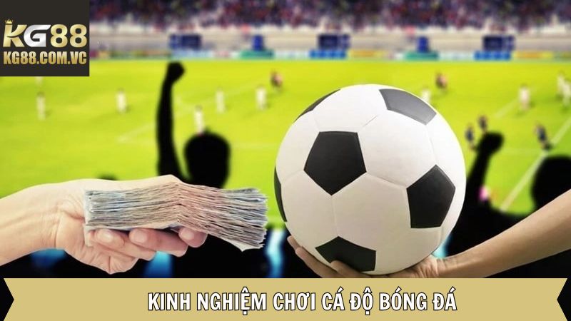 Cá Độ Bóng Đá - Cách Đọc Kèo Và Đặt Cược Tại KG88 4 Bí quyết cá cược bóng đá thành công cho hội viên