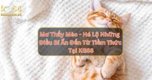 Mơ Thấy Mèo - Những Điều Bí Ẩn Đến Từ Tiềm Thức Tại KG88