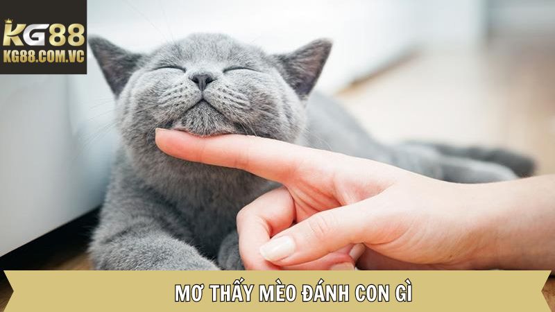 Giải mã các con số may mắn có thể xuất hiện sau mỗi chiêm bao
