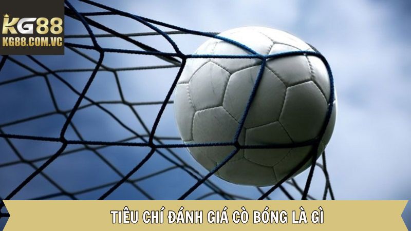 Cò bóng là gì và những yêu cầu tối quan trọng