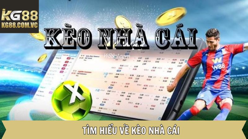 Đôi điều thú vị về tỷ lệ kèo