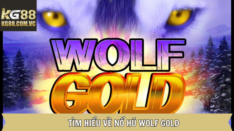 Wolf Gold - Trải Nghiệm Thế giới Game Slot Đẳng Cấp Tại KG88 2 Vài nét về siêu phẩm nổ hũ Wolf Gold