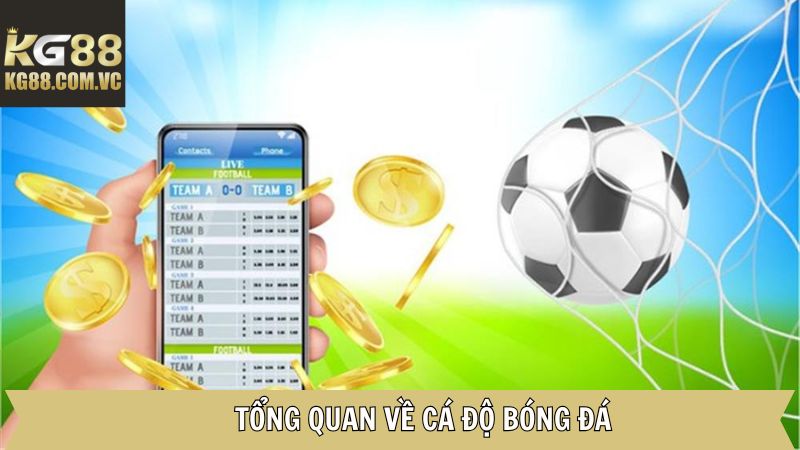 Cá Độ Bóng Đá - Cách Đọc Kèo Và Đặt Cược Tại KG88 2 Đôi điều về cá cược bóng đá